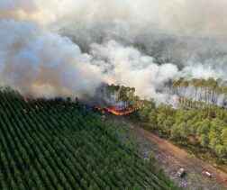Risque incendie en entreprise : feux de forêt 2026 en France